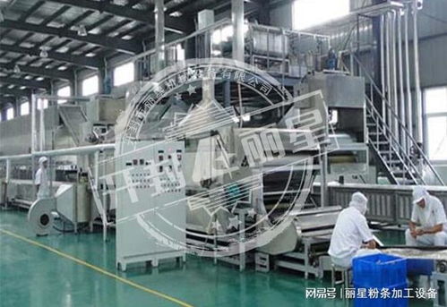 機械化加工粉條的優勢、常見問題及解決方案全解析