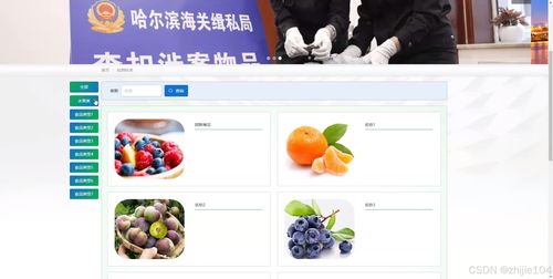 基于django vue vue哈爾濱海關(guān)進出口食品安全信息管理系統(tǒng) 計算機畢設(shè)
